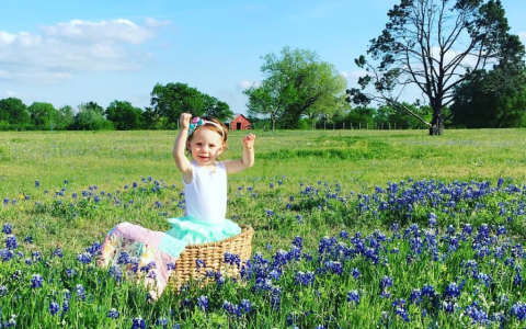 young girl picking purple flowers
